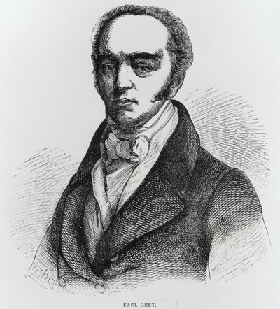 Portrait of Earl Grey by English School